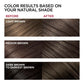 L'Oreal Permanent Hair Color, 4 Dark Brown