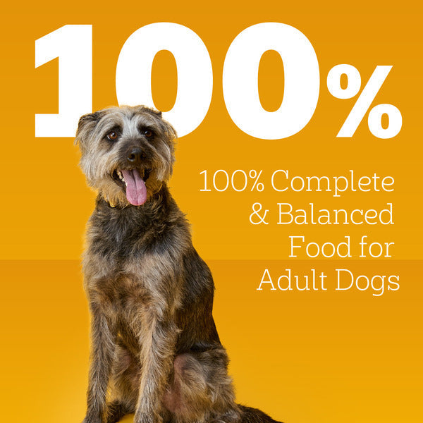 Pedigree Choice Cuts in Gravy Dog Food Variety Pack