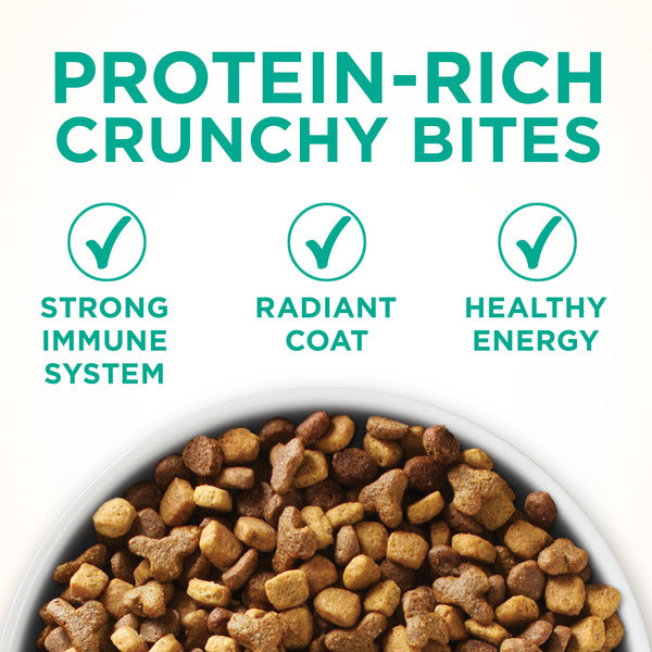 Purina ONE Natural Dry Cat Food, Sensitive Skin & Stomach Formula