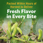 Del Monte Lima Beans, Green