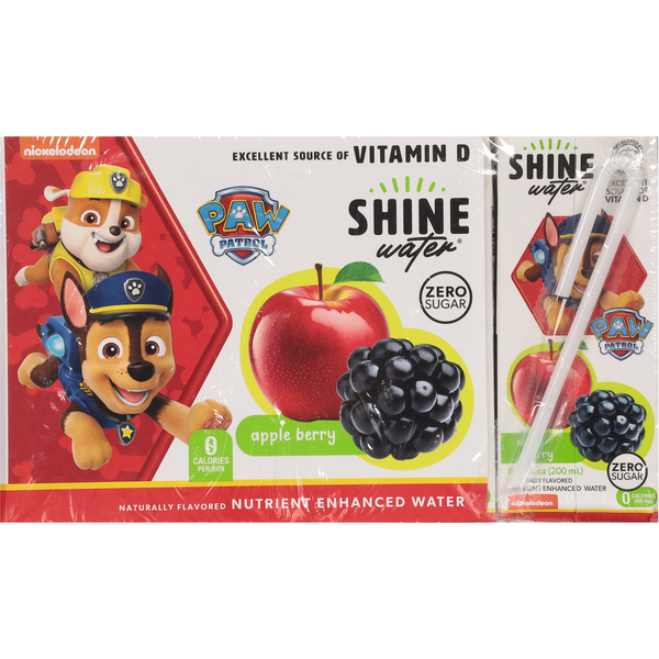 Shine Water Zero Sugar Paw Patrol Apple Berry Water