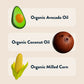 LesserEvil Organic Moonions, Intergalactic Onion