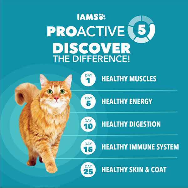 IAMS PROACTIVE HEALTH Adult Indoor Weight Control & Hairball Care Dry Cat Food with Chicken & Turkey Cat Kibble, 16 lb. Bag