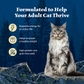 Blue Buffalo Wilderness High Protein Pate Wet Cat Food,, Chicken, Salmon & Duck Variety Pack