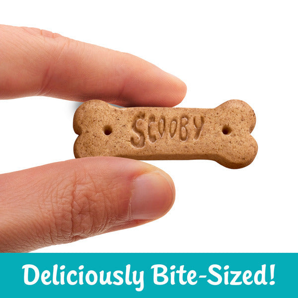 SCOOBY-DOO Kellogg's SCOOBY-DOO! Honey Baked Graham Cracker Snacks, Lunch Box Snacks, 11 oz