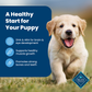 Blue Buffalo Life Protection Formula Natural Puppy Dry Dog Food, Chicken and Brown Rice