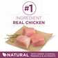 Purina ONE Natural, High Protein Dry Puppy Food, +Plus Healthy Puppy Formula