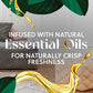 Air Wick® Plug in Scented Oil Refill, 2 ct, Fresh Waters, Air Freshener, Essential Oils