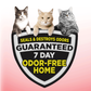 Arm & Hammer Clump & Seal Multi-Cat Complete Odor Sealing Cat Litter
