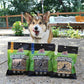 RedBarn Air Dried Chicken Training Treats