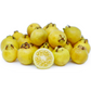 Guava, Lemon (Psidium littorale)