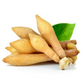 Lesser Galangal (Alpinia officinarum)