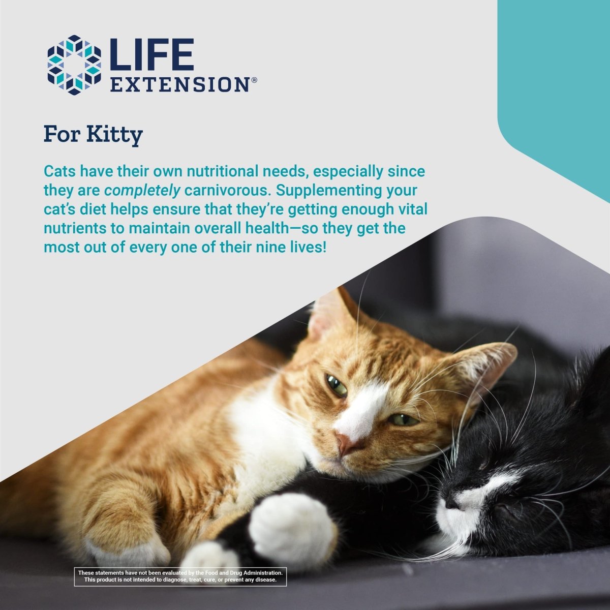 Life Extension Cat Mix Net Wt.100 Grams (85 Servings)