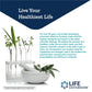 Life Extension Chlorophyllin 100mg 100 Vcaps