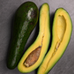 Avocado 'Russell' (Long Neck!) (Persia americana)