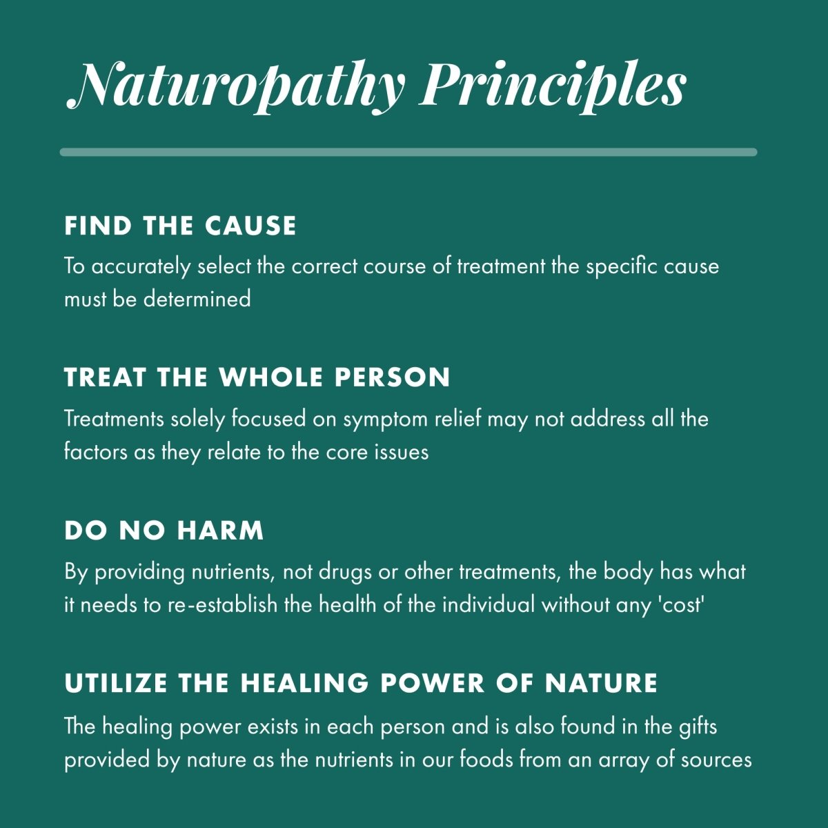 Michael's Naturopathic Programs - Kidney Factors Cleansing Support - 120 Vegetarian Tablets