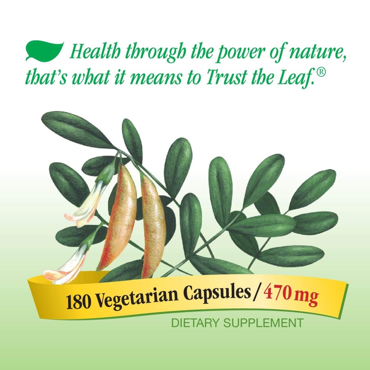 Nature's Way Astragalus Root, Traditional Immune Support, Non-GMO Project Verified, Vegan, 180 Capsules