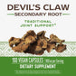 Nature's Way Devil's Claw Secondary Root 480 mg 100 Vcaps