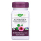 Nature's Way - Echinacea/Goldenseal, 450 mg, 180 capsules