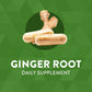 Nature's Way Ginger Root, Traditional Digestive Support, 1110 mg Per Serving, Non-GMO Project Verified, 240 Capsules