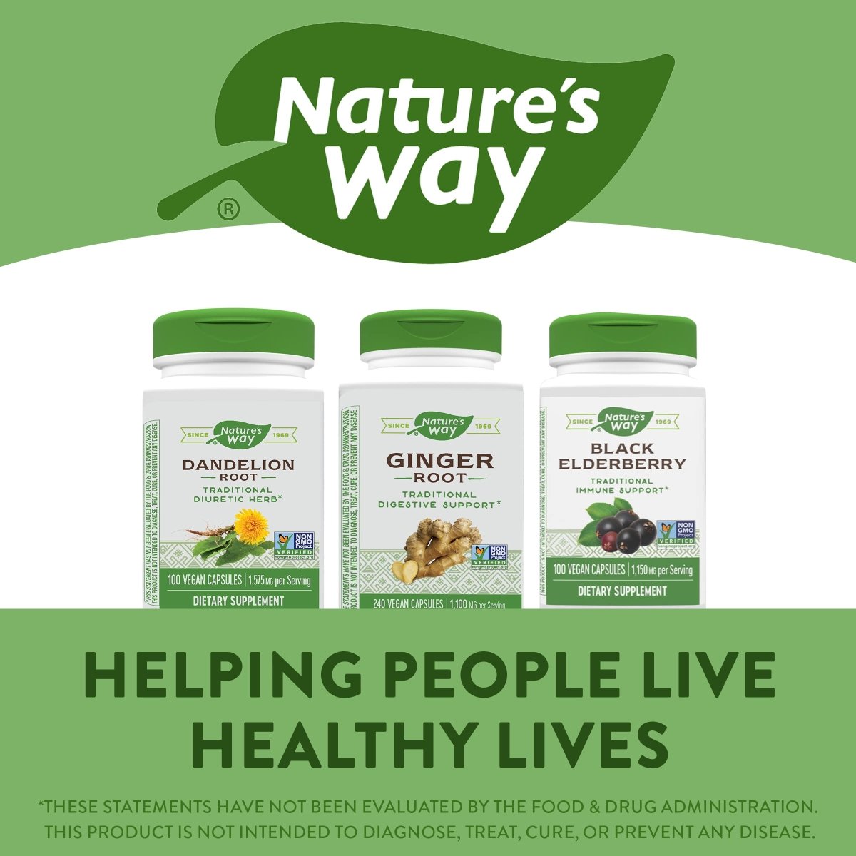 Nature's Way Ginger Root, Traditional Digestive Support, 1110 mg Per Serving, Non-GMO Project Verified, 240 Capsules