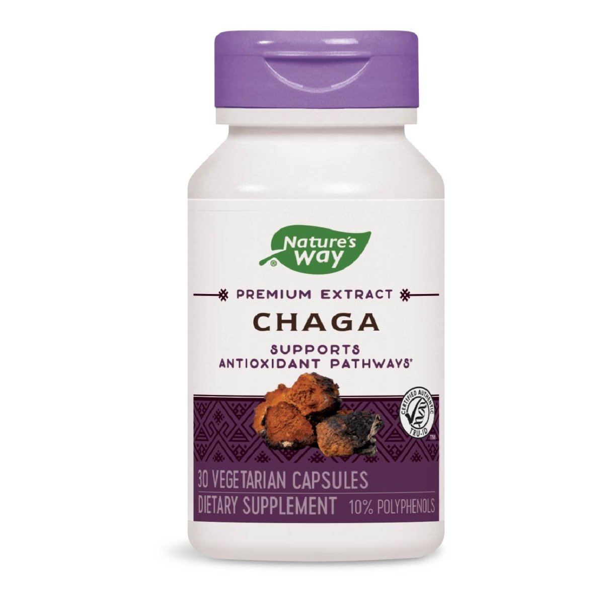 Nature's Way Premium Extract Chaga, Supports Antioxidant Pathways, 480 mg per serving, 30 Vcaps
