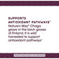 Nature's Way Premium Extract Chaga, Supports Antioxidant Pathways, 480 mg per serving, 30 Vcaps