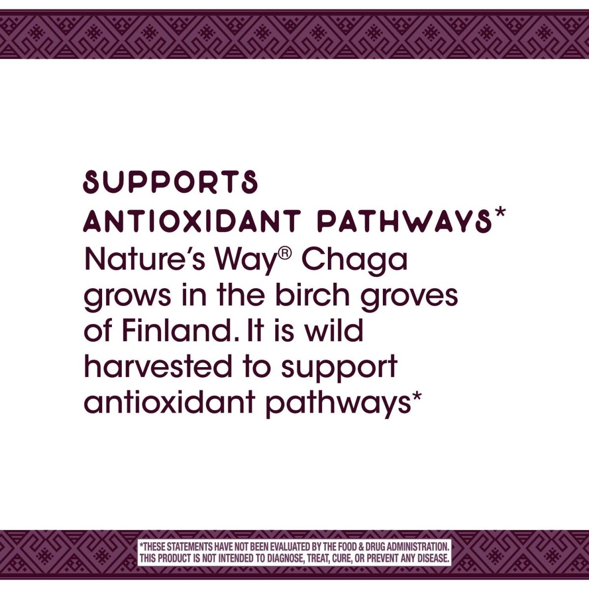Nature's Way Premium Extract Chaga, Supports Antioxidant Pathways, 480 mg per serving, 30 Vcaps