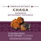 Nature's Way Premium Extract Chaga, Supports Antioxidant Pathways, 480 mg per serving, 30 Vcaps