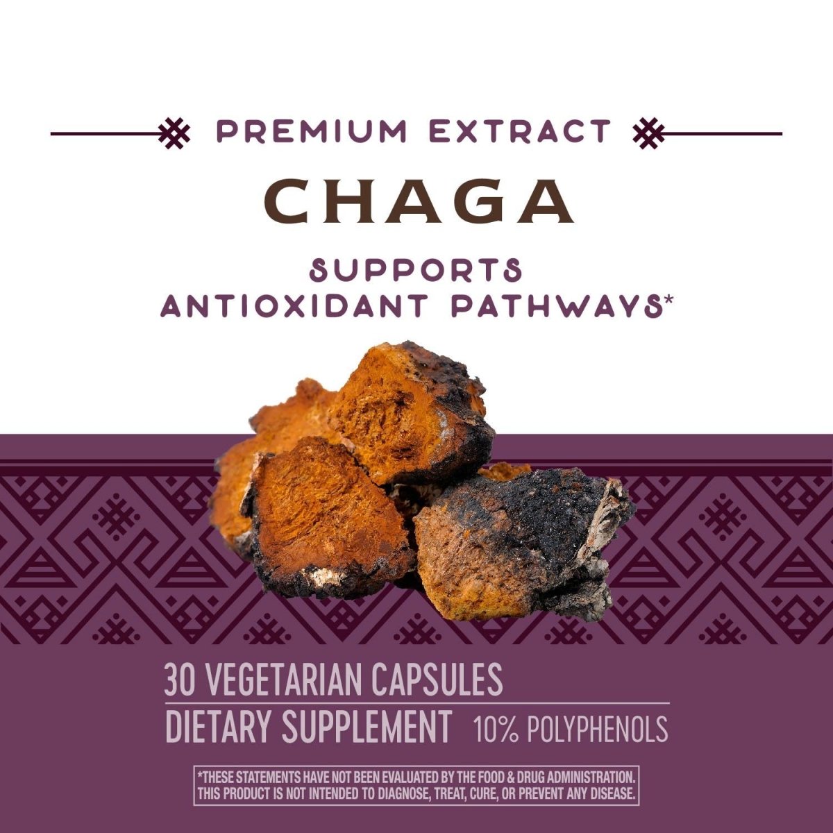 Nature's Way Premium Extract Chaga, Supports Antioxidant Pathways, 480 mg per serving, 30 Vcaps