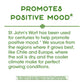 Nature's Way Premium St. John's Wort Herb, Promotes Positive Outlook, 700 mg per serving, 100 Vegan Capsules