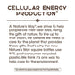 Nature's Way Riboflavin Vitamin B2 Supports Cellular Energy 30 Tablets