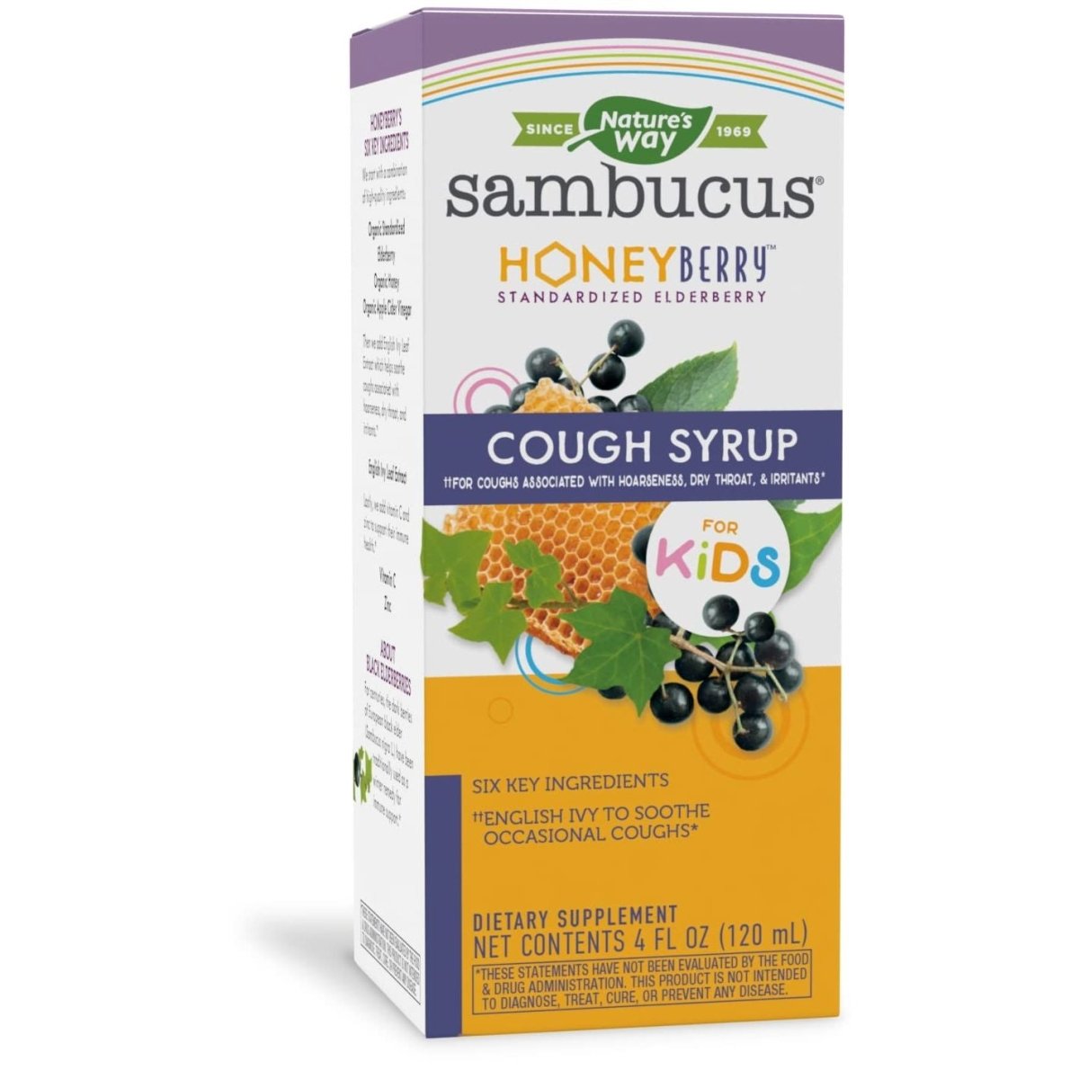 Nature's Way Sambucus HoneyBerry Cough Syrup for Kids with Black Elderberry Extract & Organic Honey, Immune Support, 4 Fl. Oz.