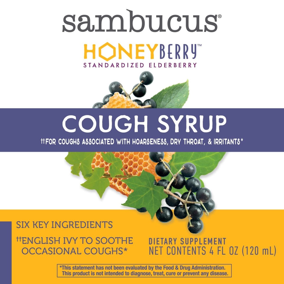 Nature's Way Sambucus HoneyBerry Cough Syrup with Black Elderberry Extract & Organic Honey, Immune Support, 4 Fl. Oz