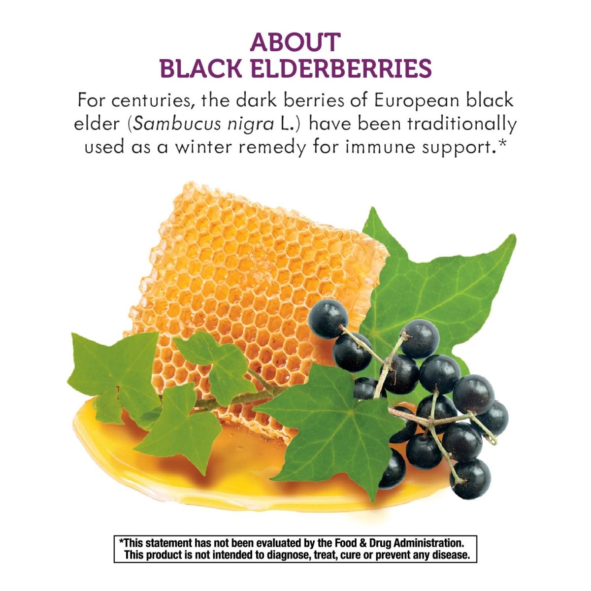 Nature's Way Sambucus HoneyBerry Cough Syrup with Black Elderberry Extract & Organic Honey, Immune Support, 4 Fl. Oz