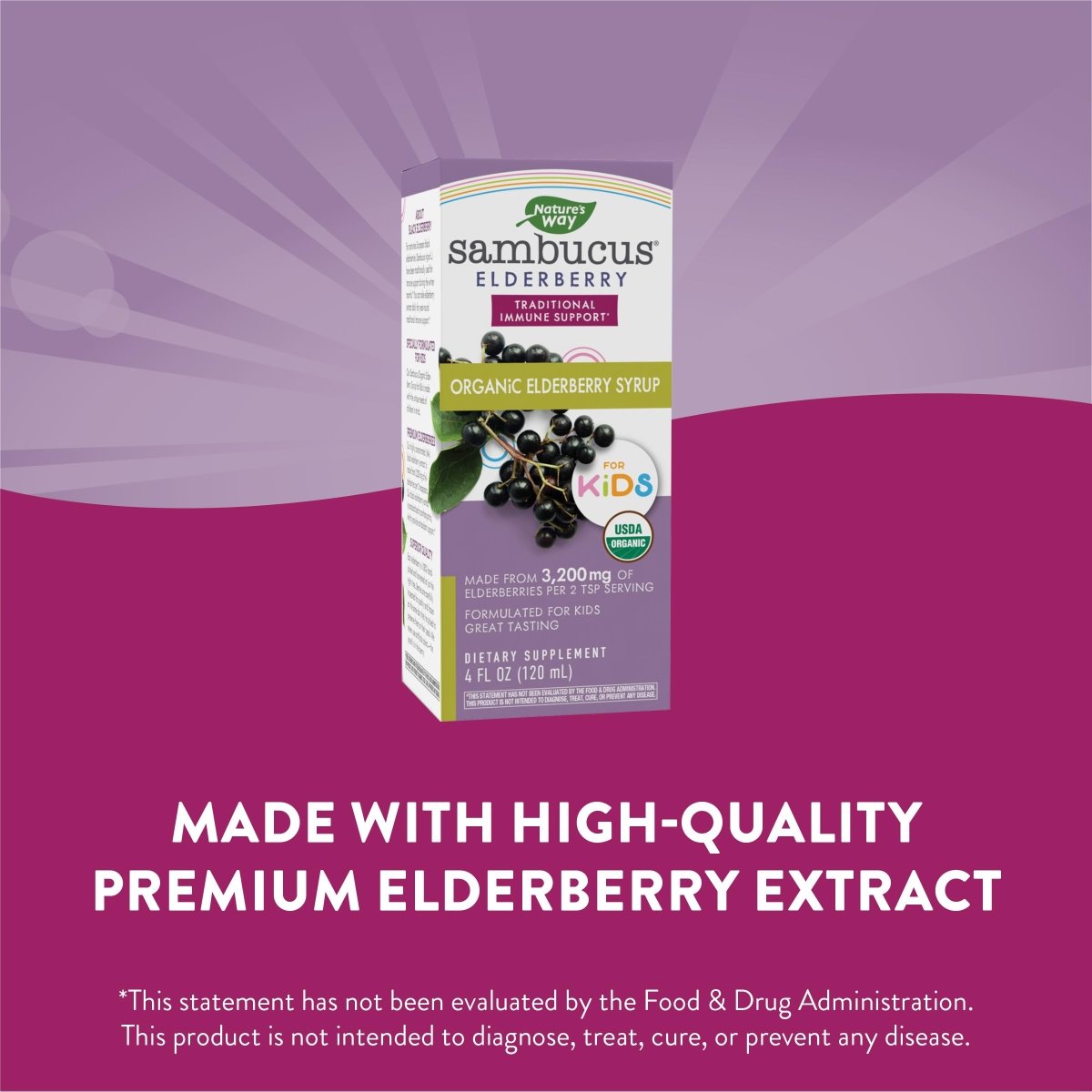 Nature's Way Sambucus Organic Elderberry Syrup for Kids - 4 Fl. Oz