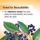 Nature's Way Sambucus Sugar-Free Elderberry Syrup, Traditional Immune Support, 8 Fl Oz.