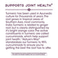 Nature's Way Turmeric Premium Extract Supports Joint Health Non-GMO Project Verified 500mg per Serving 120 Tablets