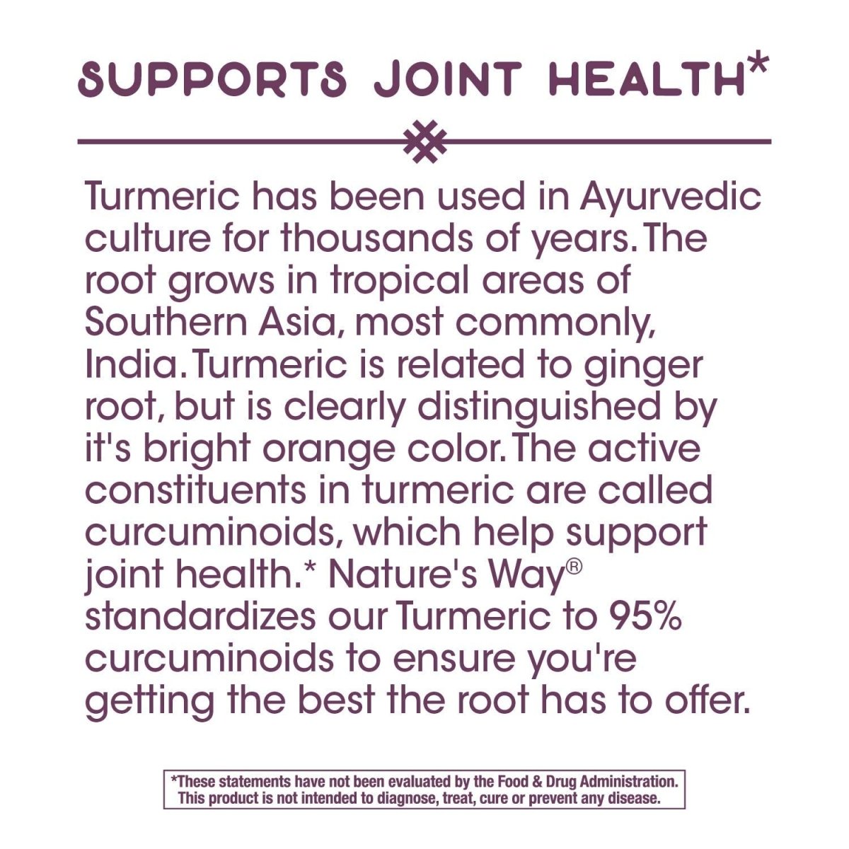Nature's Way Turmeric Premium Extract Supports Joint Health Non-GMO Project Verified 500mg per Serving 120 Tablets