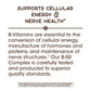 Nature's Way Vitamin B-50 Complex Capsules - Comprehensive B-Vitamin