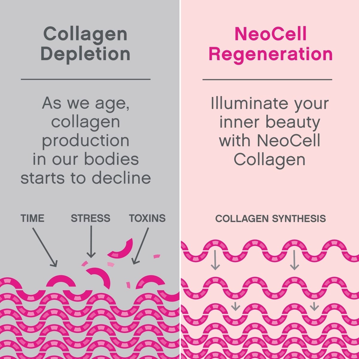 NeoCell Super Collagen Peptides, 10g Collagen Peptides per Serving, Gluten Free, Keto Friendly, Non-GMO, Grass Fed, Healthy Hair, Skin, Nails and Joints, Unflavored Powder, 7 oz., 1 Canister