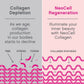 NeoCell Super Collagen Plus With Vitamin C and Hyaluronic Acid, For Skin Hydration and Healthy Skin, Hair and Nails Support, Unflavored, Collagen Powder, 6.9 oz., 1 Canister