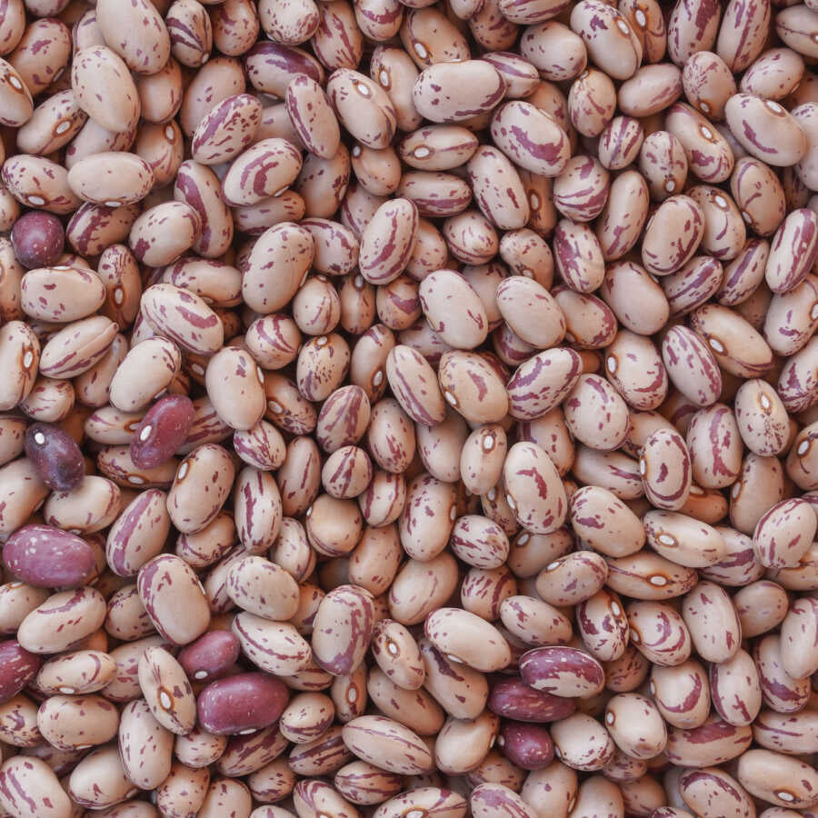 Hasata Barbunya 1Kg