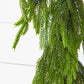 60'' Real Touch Norfolk Pine Christmas Garland