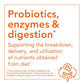 Now Food Prebiotic Inulin Fiber 180 Vcaps