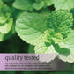 NOW Spearmint Oil, 1-Ounce