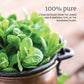 NOW Spearmint Oil, 1-Ounce