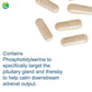 Nutra BioGenesis - AdrenoActive - - Gluten Free - 60 Capsules