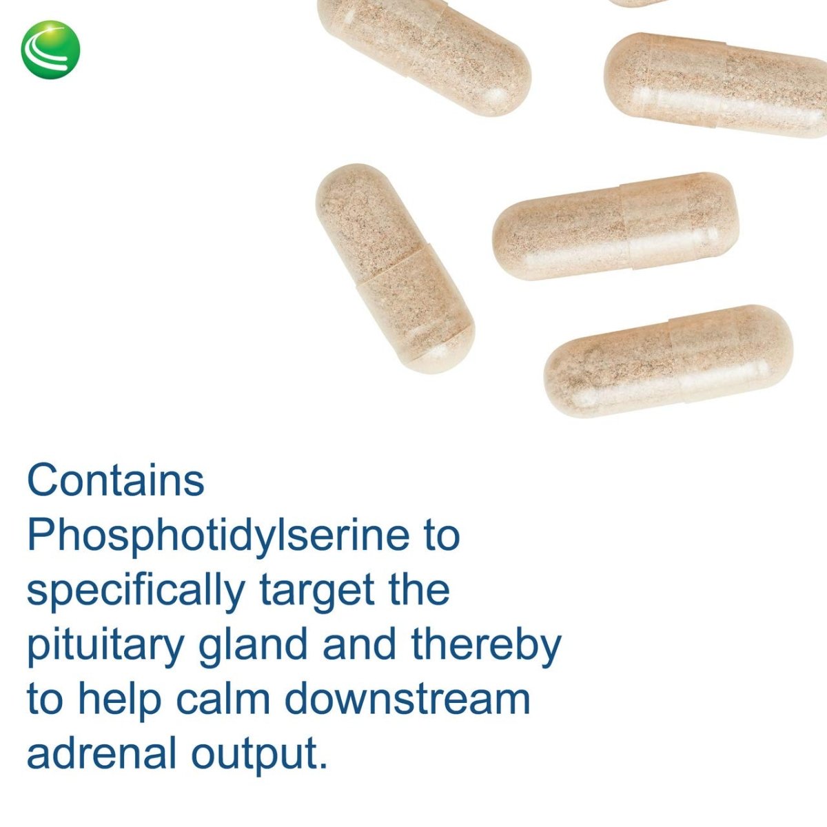 Nutra BioGenesis - AdrenoActive - - Gluten Free - 60 Capsules