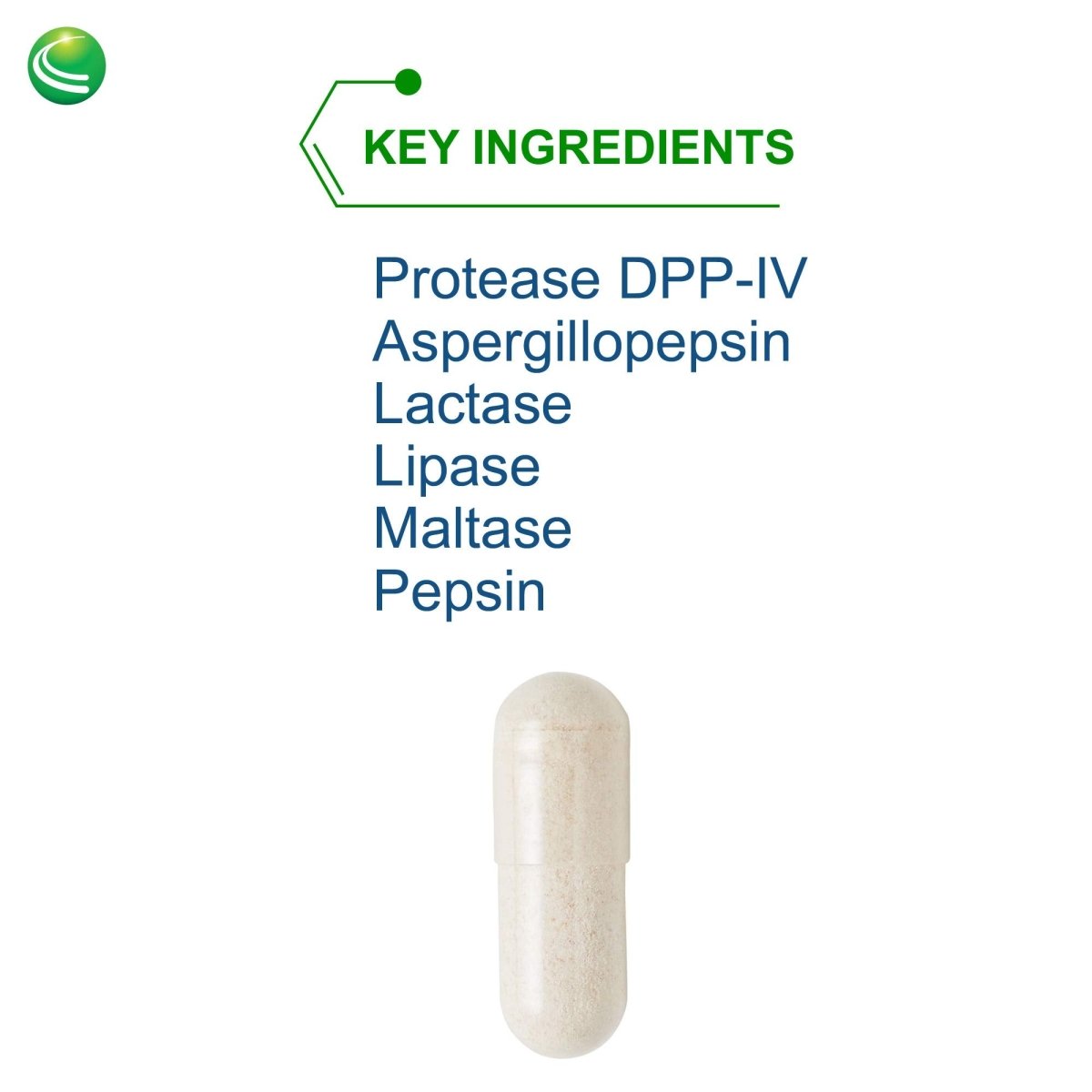 Nutra BioGenesis - AllerDigest - Gluten Free - 60 Capsules